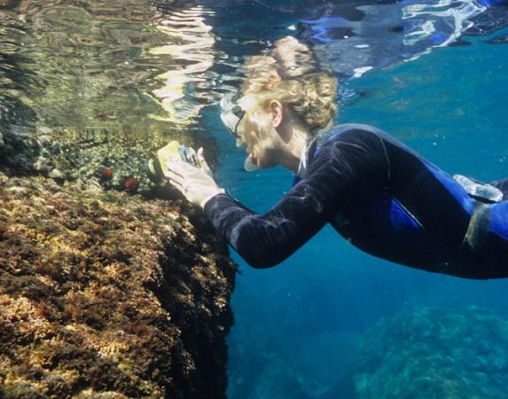 Snorkeling