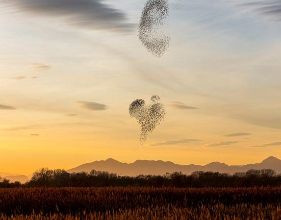 Ausflug zu den Aiguamolls de l'Empordà