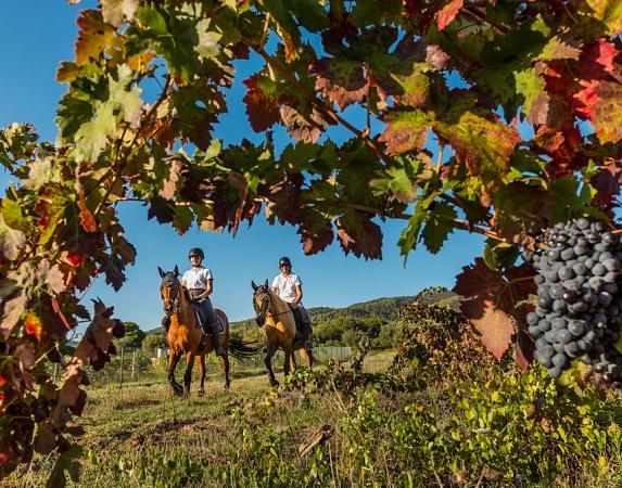 Rutas a caballo